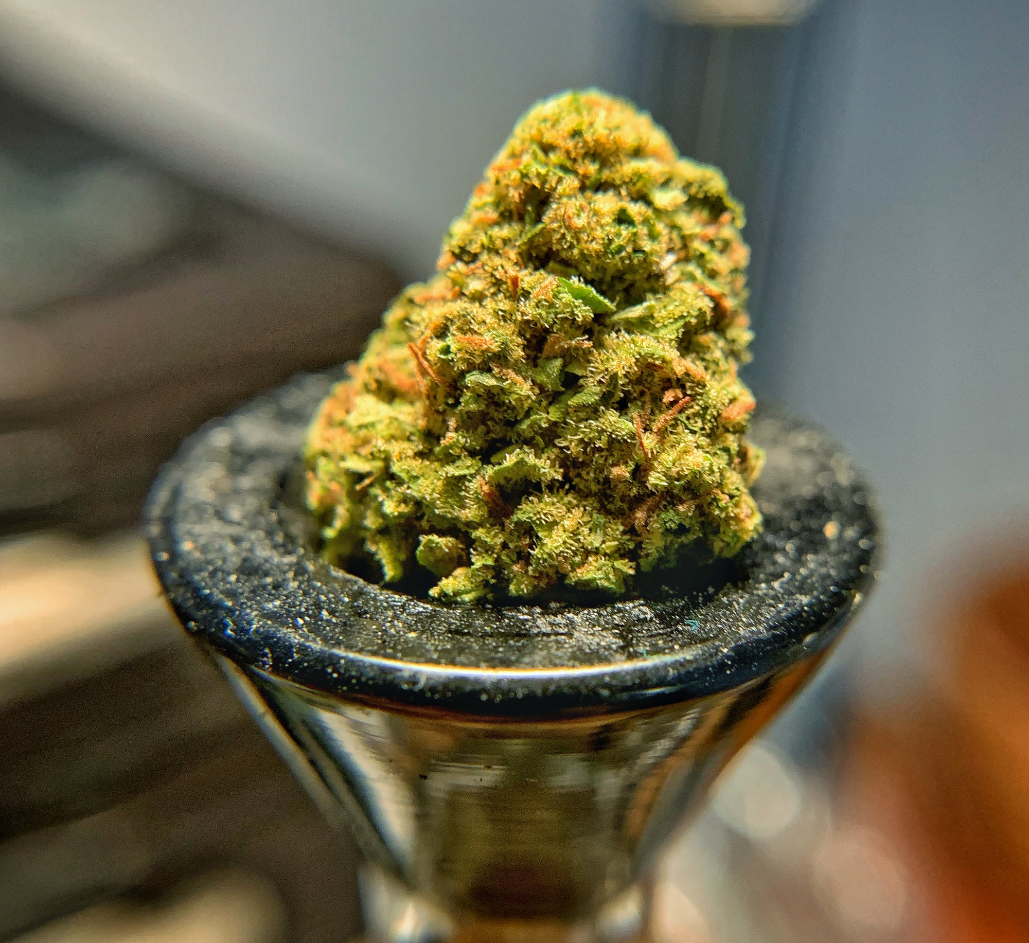 Why are more cannabis consumers smoking hemp flower? - BackWoodz Cartel