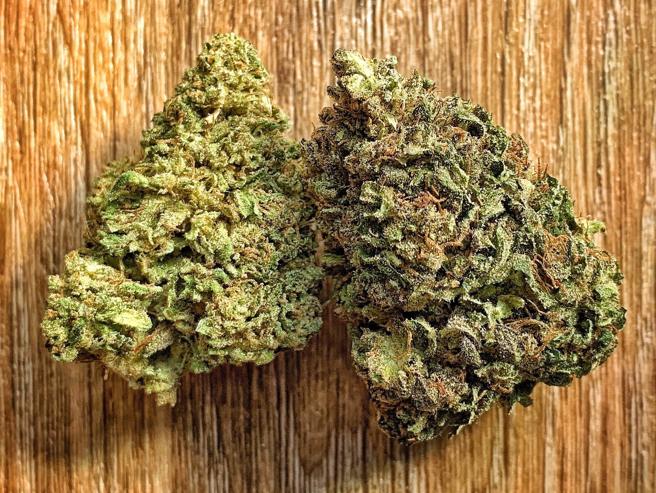 Growing CBD hemp flower - BackWoodz CBD - BW LLC