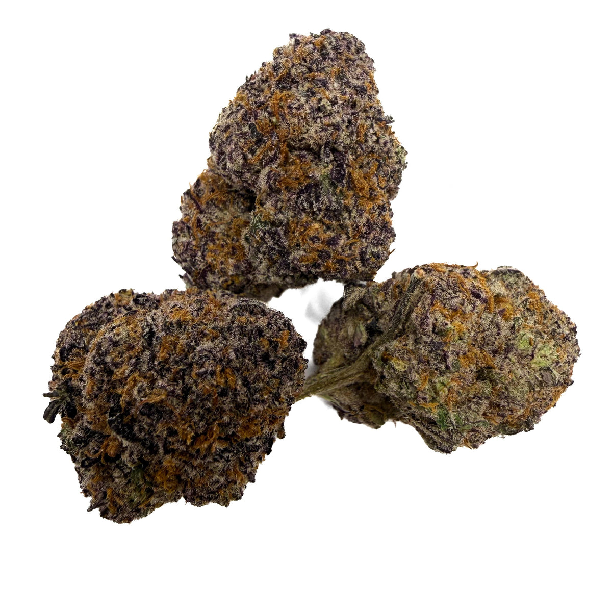 Blueberry Haze cannabis buds with orange and green trichome accents on a solid white background.