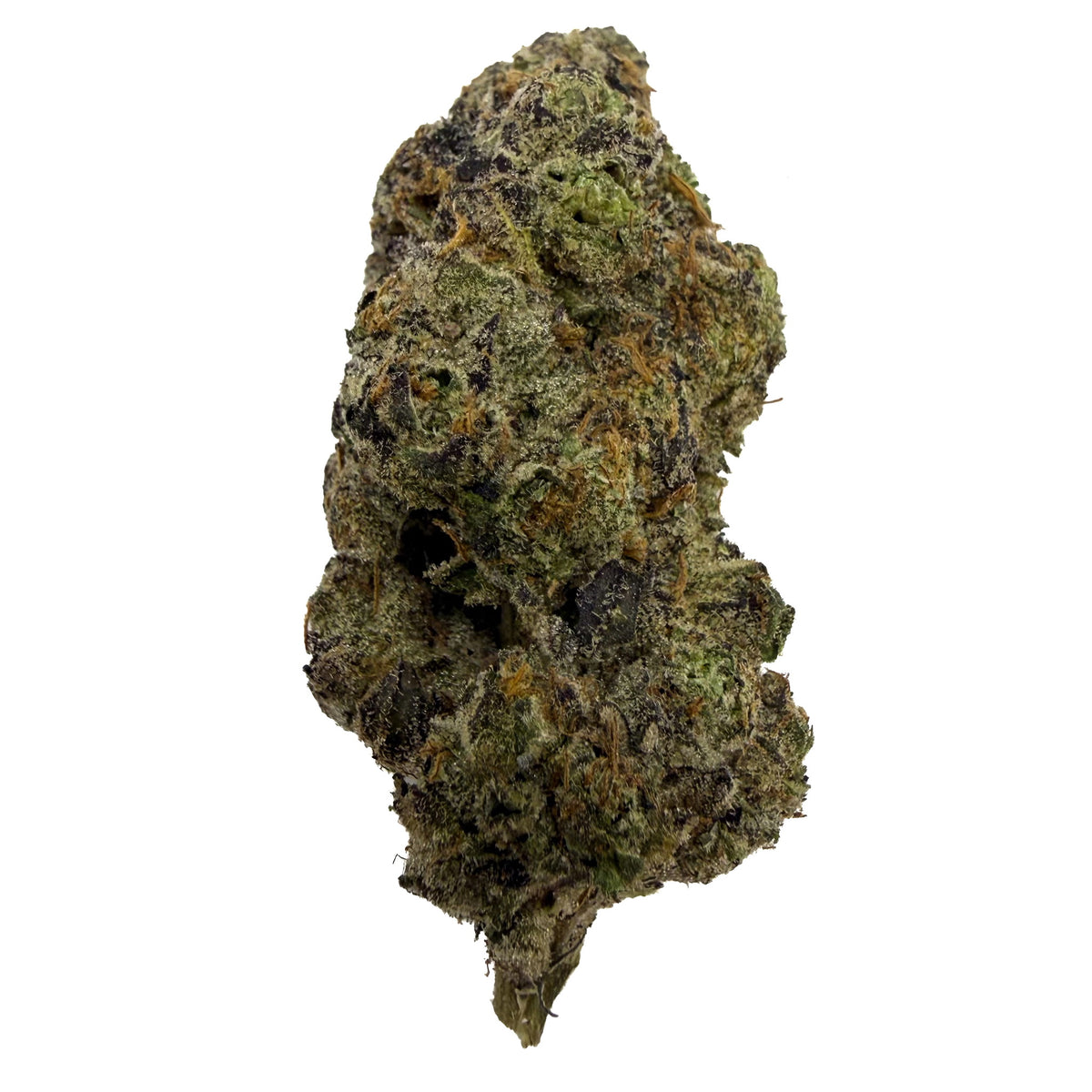 Tangerine tree - thca flower - BackWoodz  