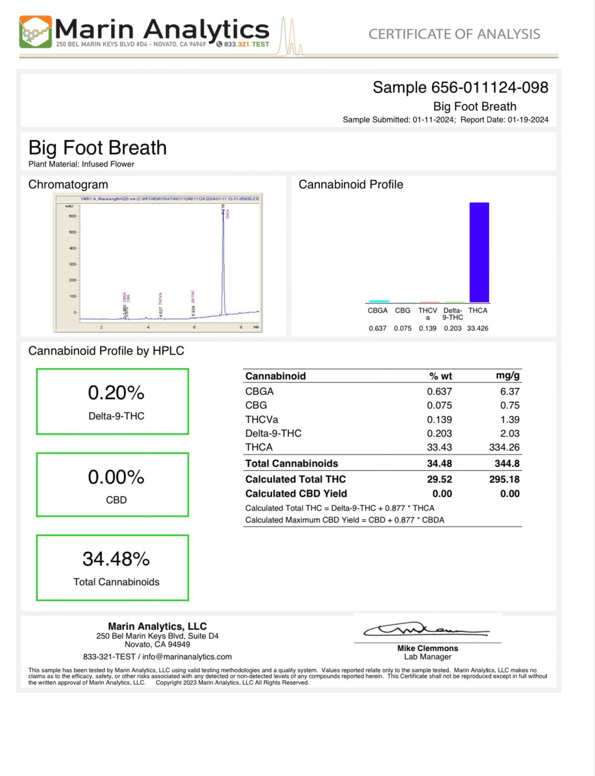Big Foot Breath - THCA Flower - BackWoodz