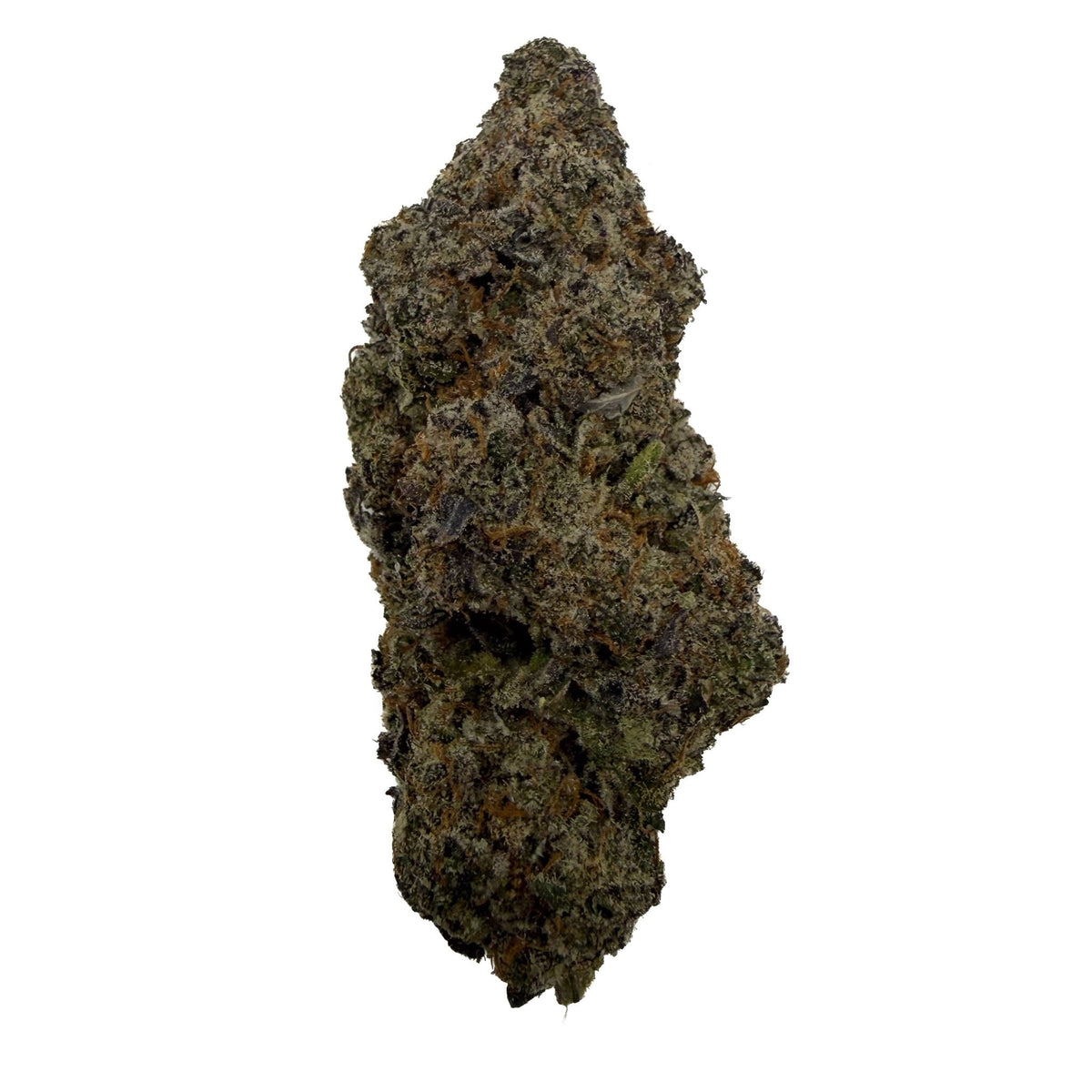 A single dried Black Cherry Runtz bud cluster with dense trichomes, isolated on a solid white background.
