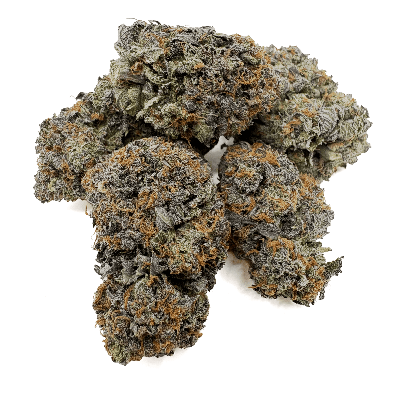 Blackberry Skunk THCA Flower Bud