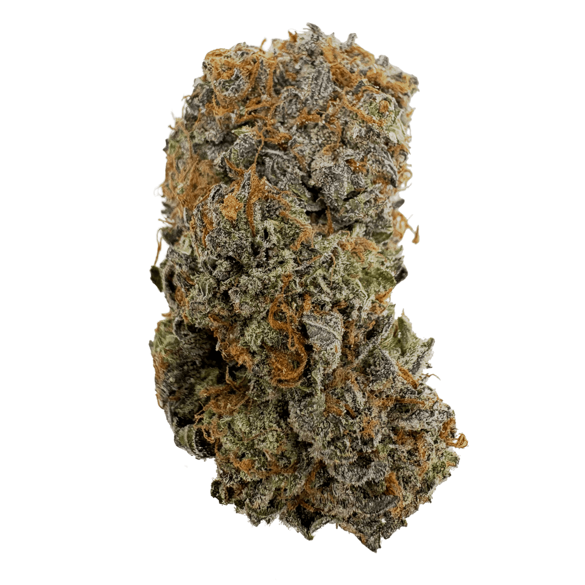 Blackberry Skunk THCA Flower Bud