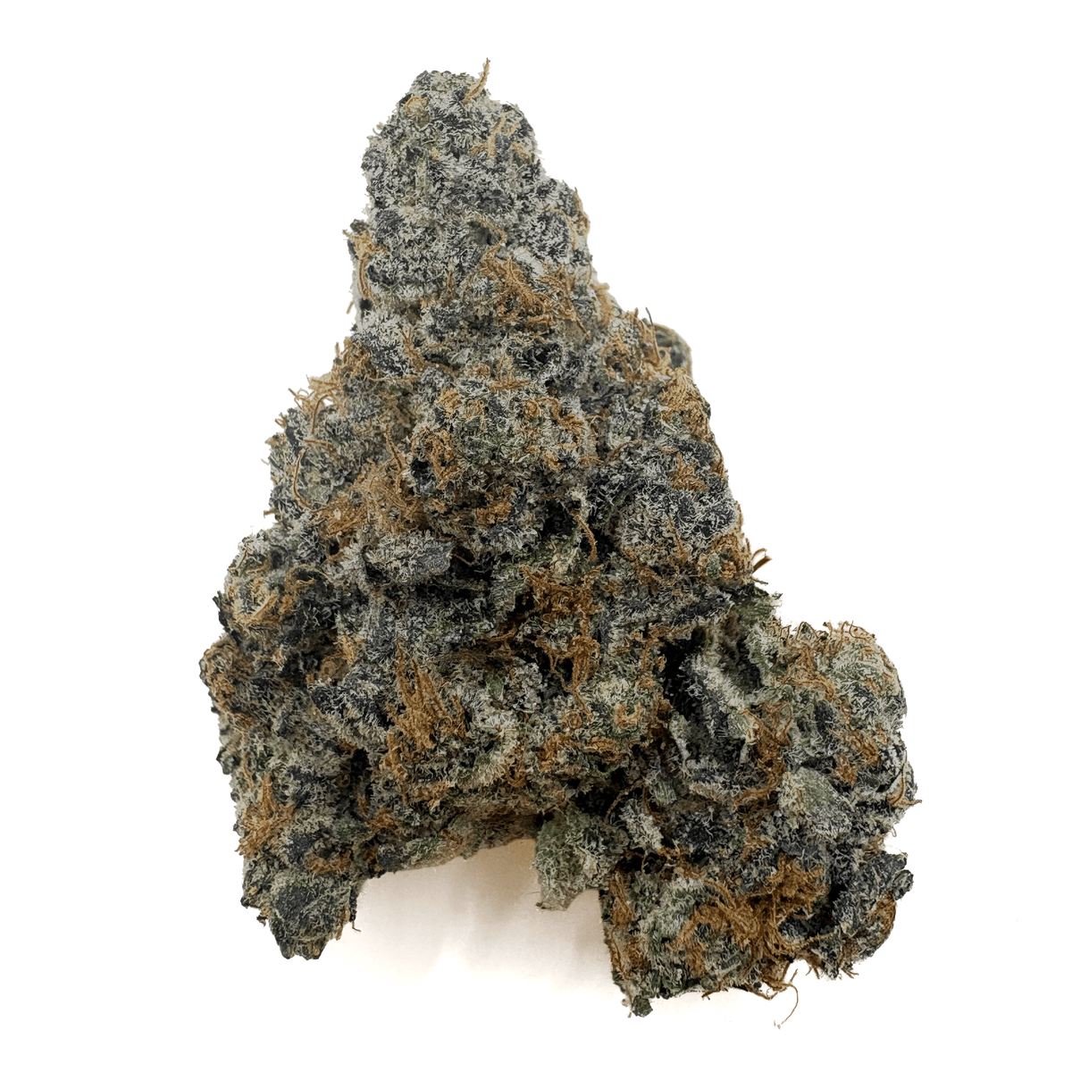 Cheetah Piss THCA Bud