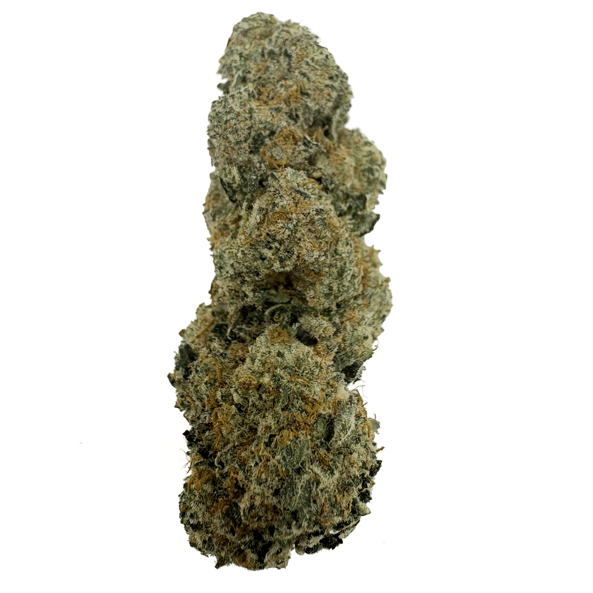 Gucci Fruit THCA Bud