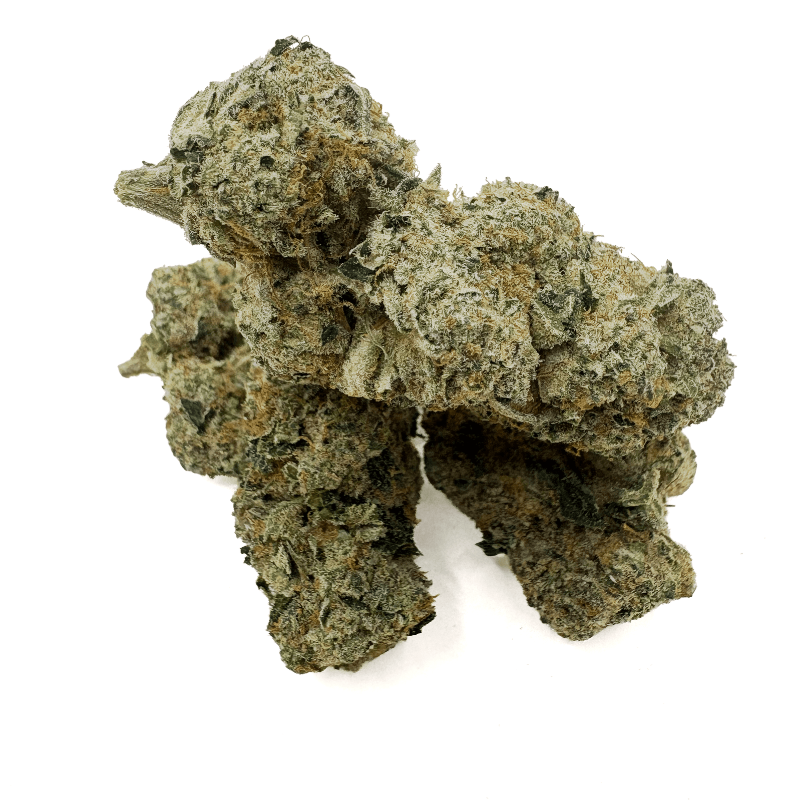 Gucci Fruit THCA Bud