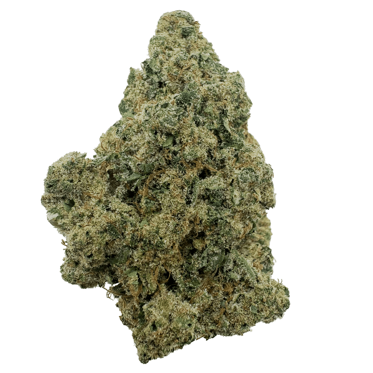Jack Herer THCA Flower Bud