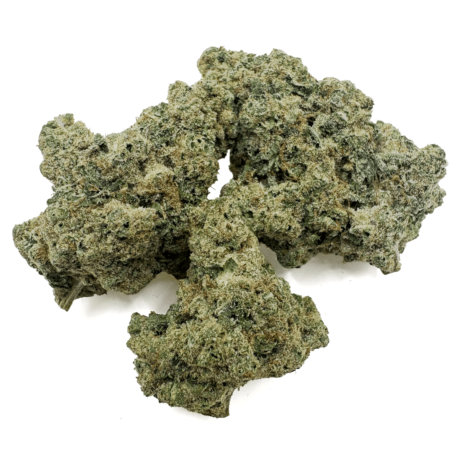 Jack Herer THCA Flower Bud