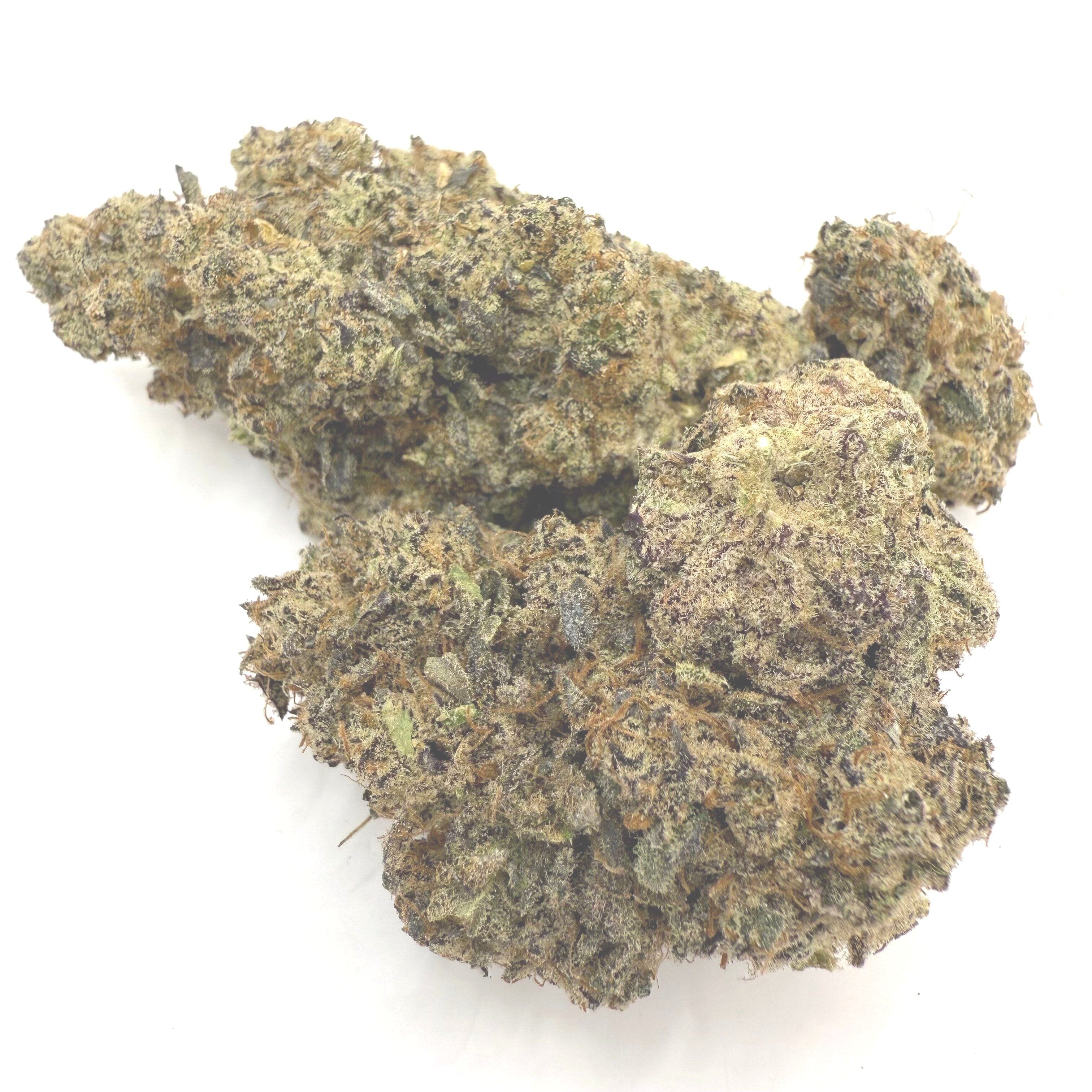 Lizard Burger (THC-A)