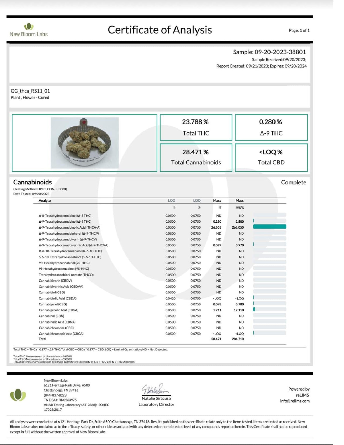 Rainbow Sherbet - THCA Flower - BackWoodz