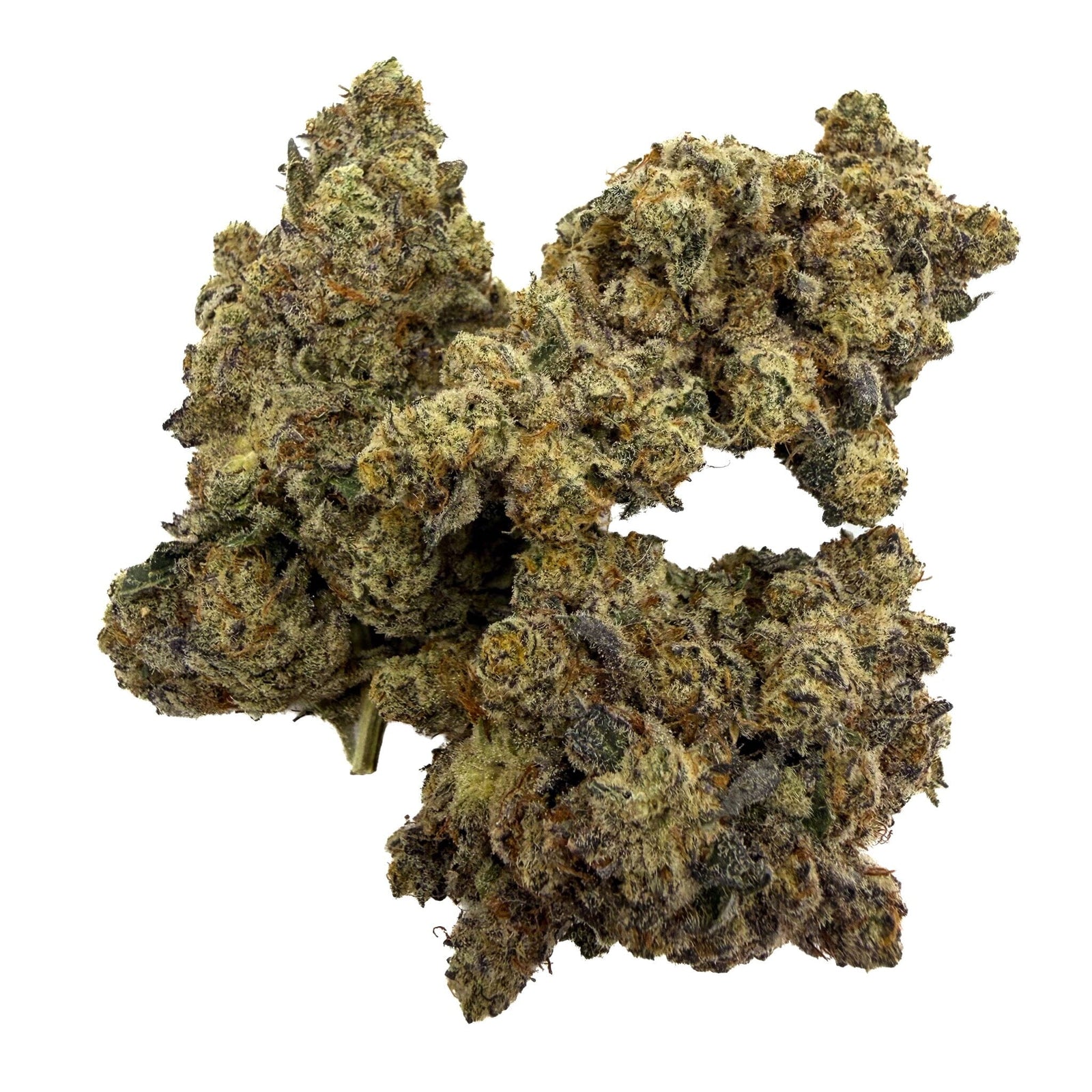 A single dried Trap Star bud with dense trichome coverage, showing shades of olive green, tan, and orange, isolated on a solid white background.