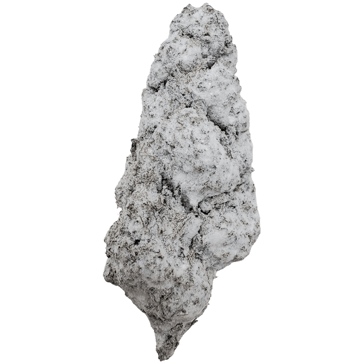 Sno Caps - Thca flower - BackWoodz 