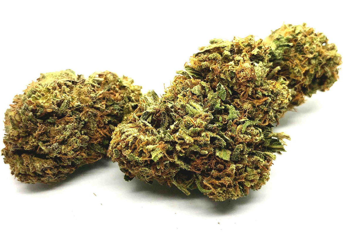 BackWoodz Sampler (16 strains)