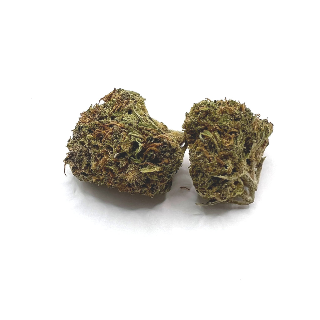 THC-A Flower - Blue Frost - BackWoodz Cartel Cannabis - BW LLC