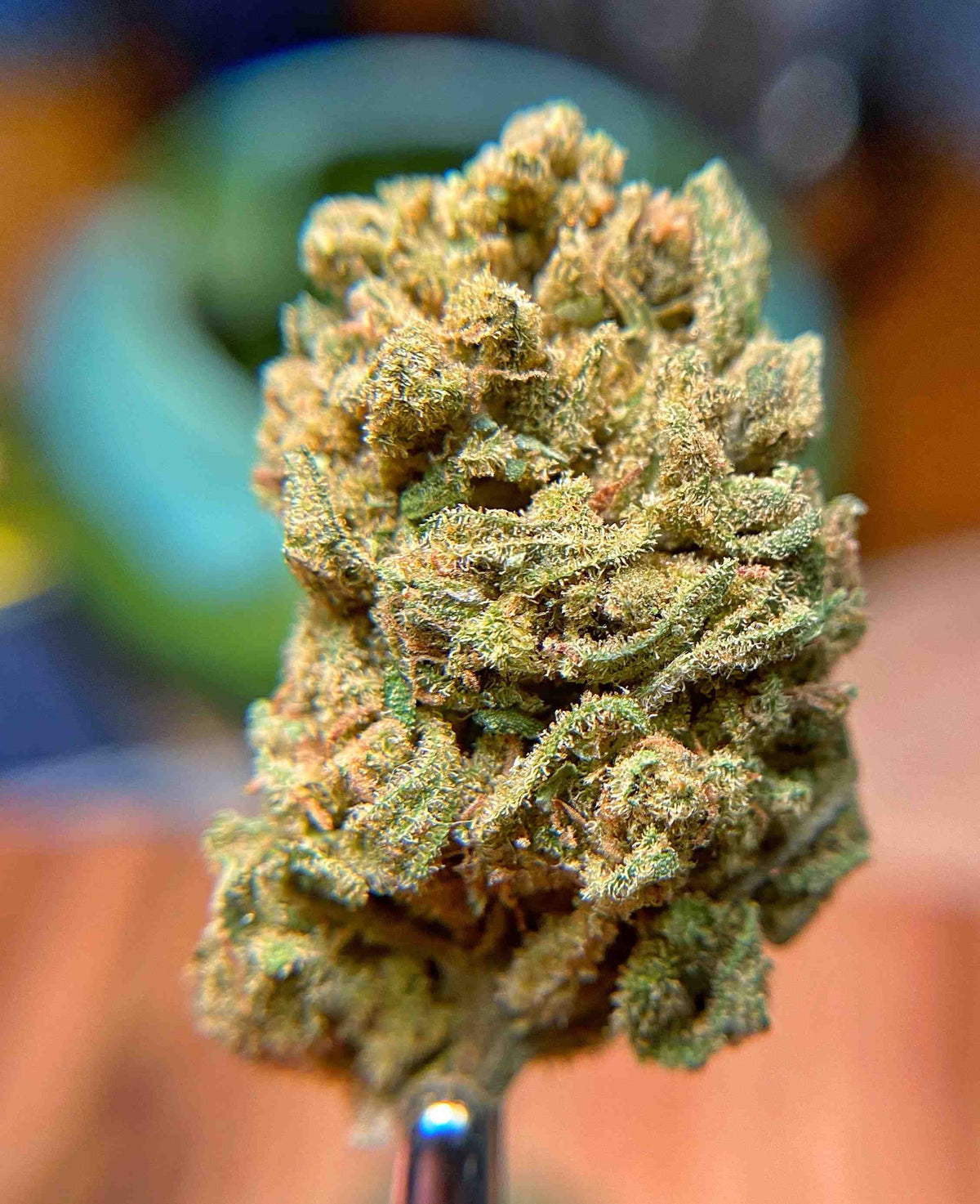 BackWoodz CBD - Casino light dep greenhouse CBD Flower