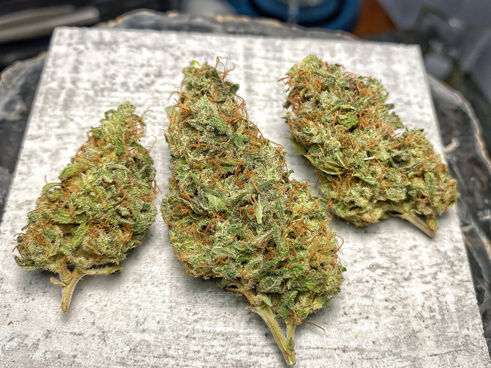 Frosted Lime Hydroponic CBD Flower - Backwoodz Cartel Cannabis