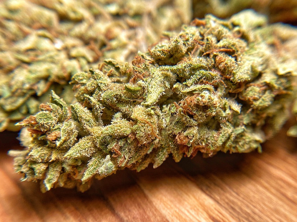 Greenhouse Suver Haze Hemp Flower - BackWoodz CBD 