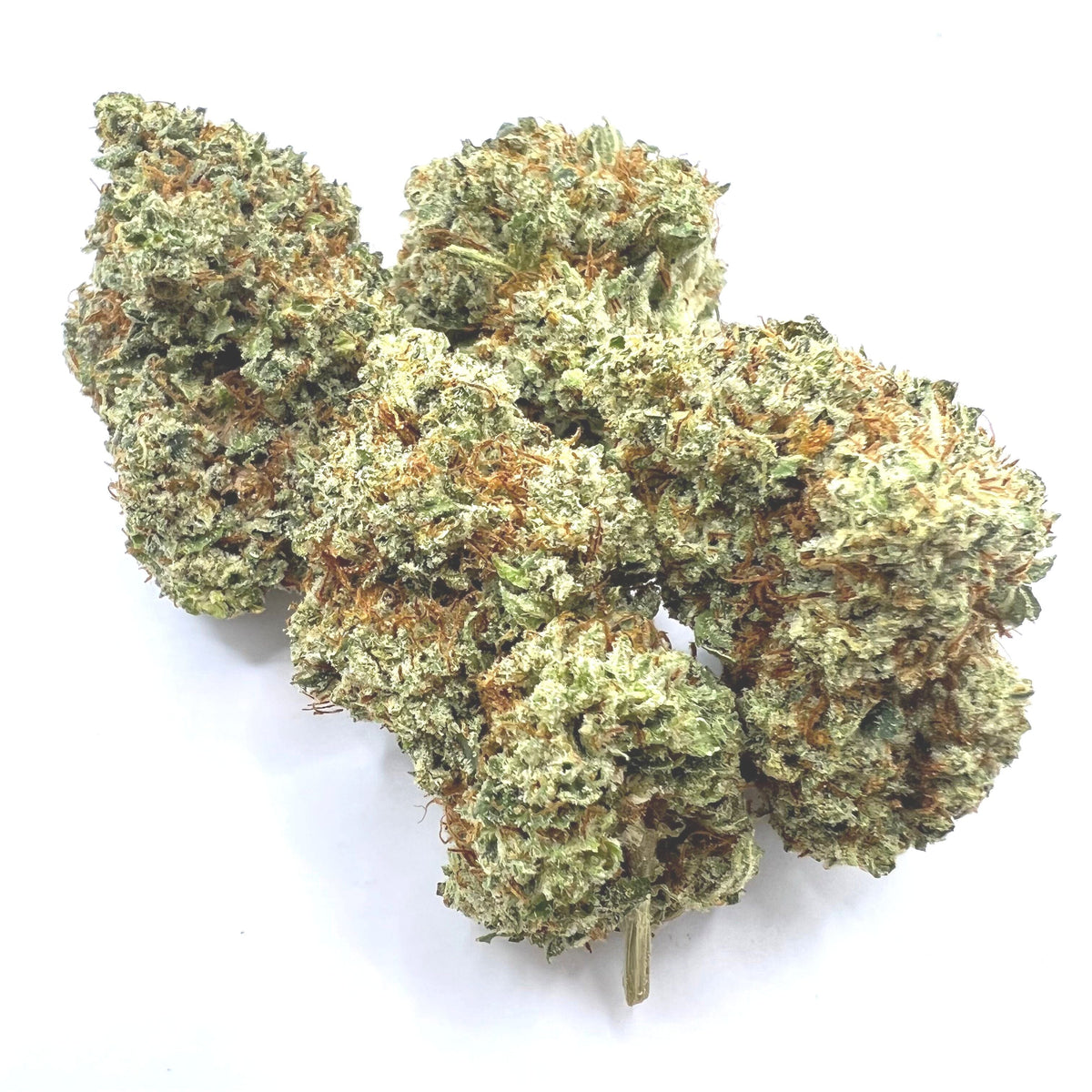 NEW! Gary Poppins (THC-A)