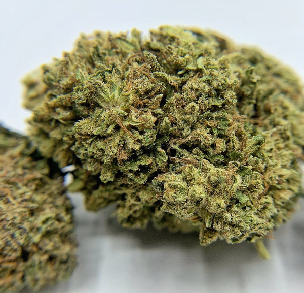 og-bubba-kush-backwoodz-cbd-
