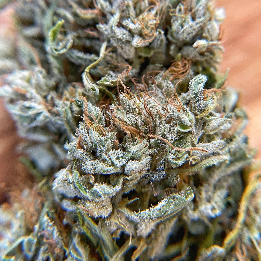 Platinum White CBG - BackWoodz CBD