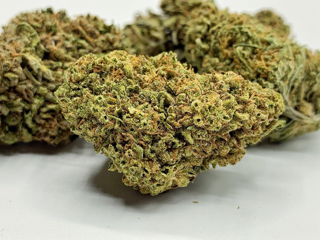 Award winning Prized Lifter CBD Flower - BackWoodz CBD