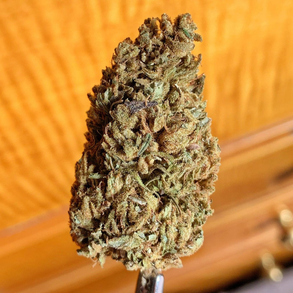 Siskiyou Gold CBD Flower - BackWoodz CBD