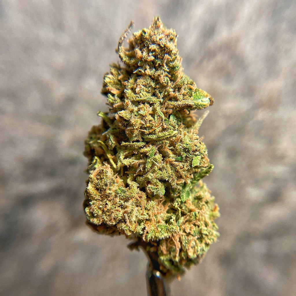 Sour Apple CBD Hemp Flower - BackWoodz CBD