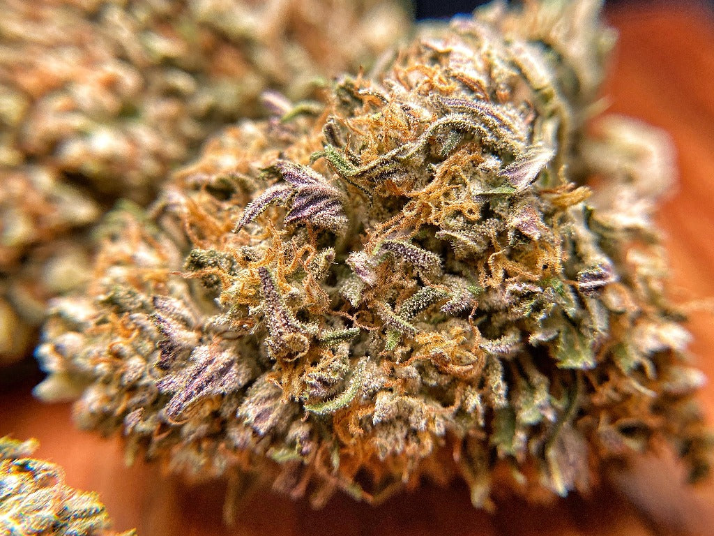 Sour White CBG Hemp Flower - BackWoodz CBD