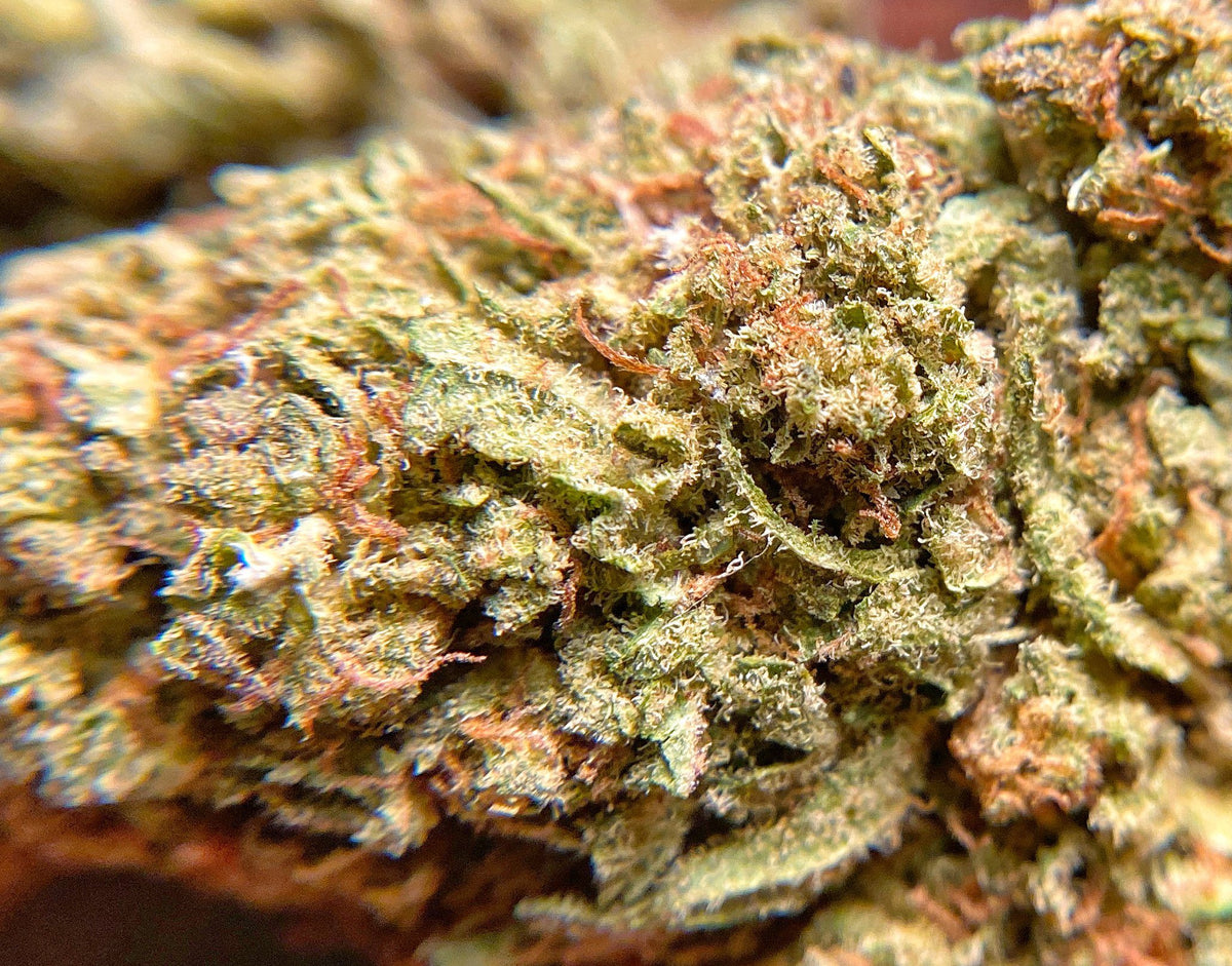 The Specialist CBD Flower - BackWoodz CBD